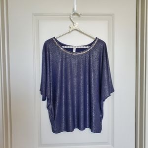 💥Last Chance💥 Dolman Short Sleeve Shimmer Blouse